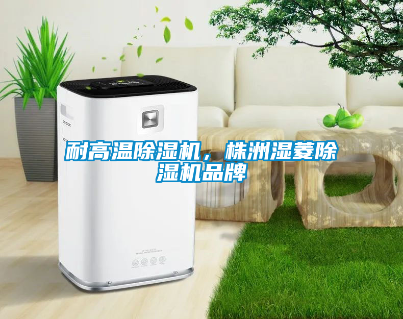 耐高溫除濕機，株洲濕菱除濕機品牌