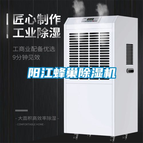 陽江蜂巢除濕機