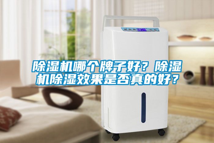 除濕機哪個牌子好？除濕機除濕效果是否真的好？