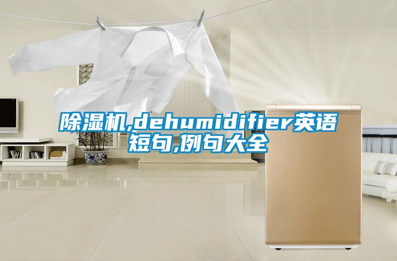 除濕機(jī),dehumidifier英語(yǔ)短句,例句大全