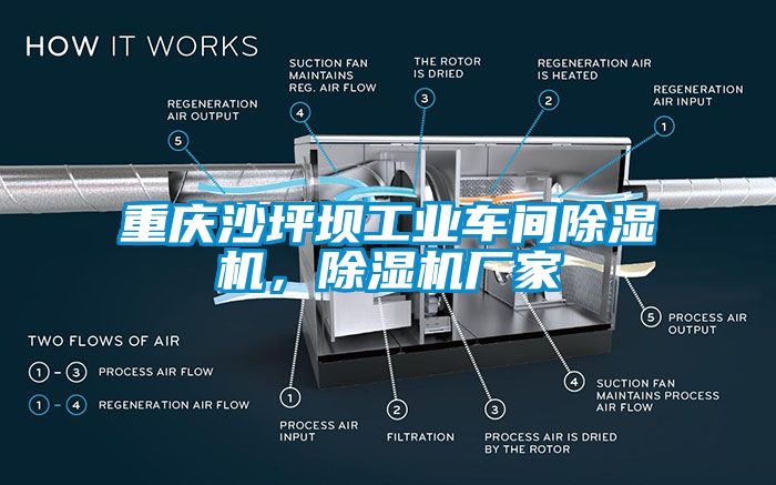 重慶沙坪壩工業(yè)車間除濕機(jī)，除濕機(jī)廠家