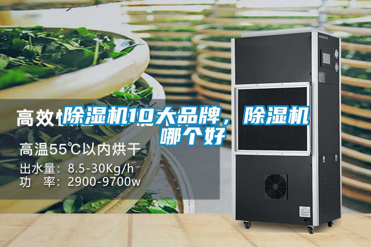 除濕機10大品牌，除濕機 哪個好