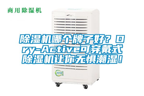 除濕機哪個牌子好？Dry-Active可穿戴式除濕機讓你無懼潮濕！