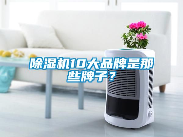 除濕機(jī)10大品牌是那些牌子？