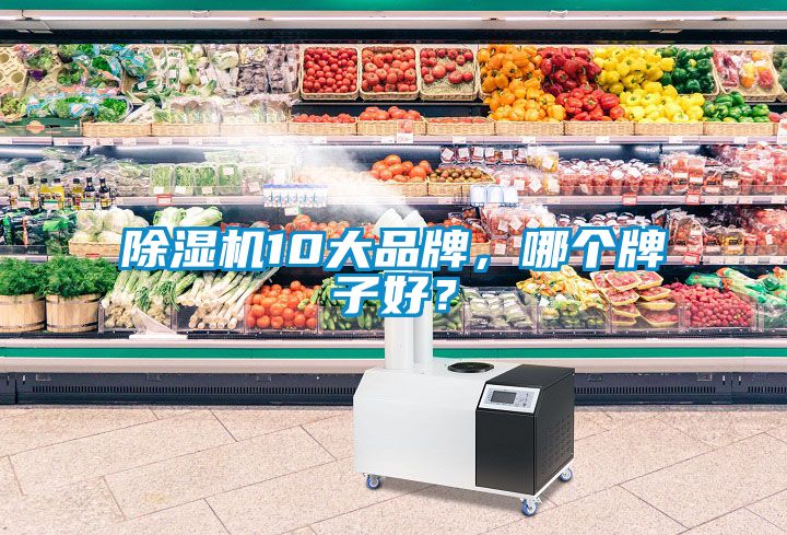 除濕機10大品牌，哪個牌子好？