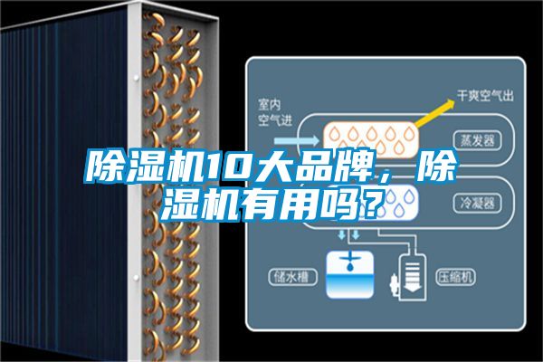 除濕機10大品牌，除濕機有用嗎？