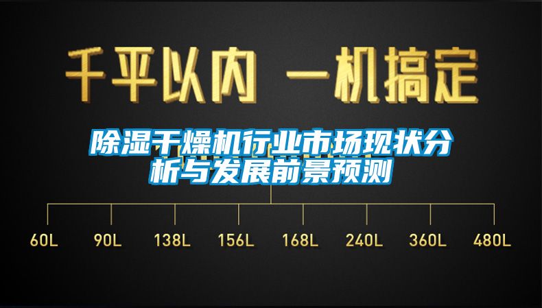 除濕干燥機(jī)行業(yè)市場現(xiàn)狀分析與發(fā)展前景預(yù)測