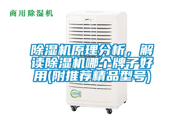 除濕機原理分析，解讀除濕機哪個牌子好用(附推薦精品型號)