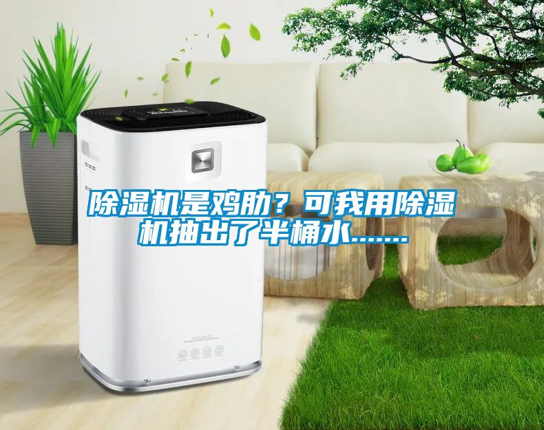 除濕機(jī)是雞肋？可我用除濕機(jī)抽出了半桶水.......