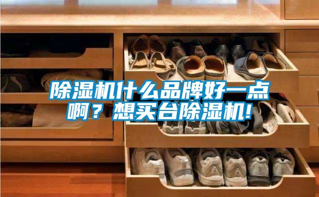 除濕機(jī)什么品牌好一點(diǎn)啊？想買臺(tái)除濕機(jī)!