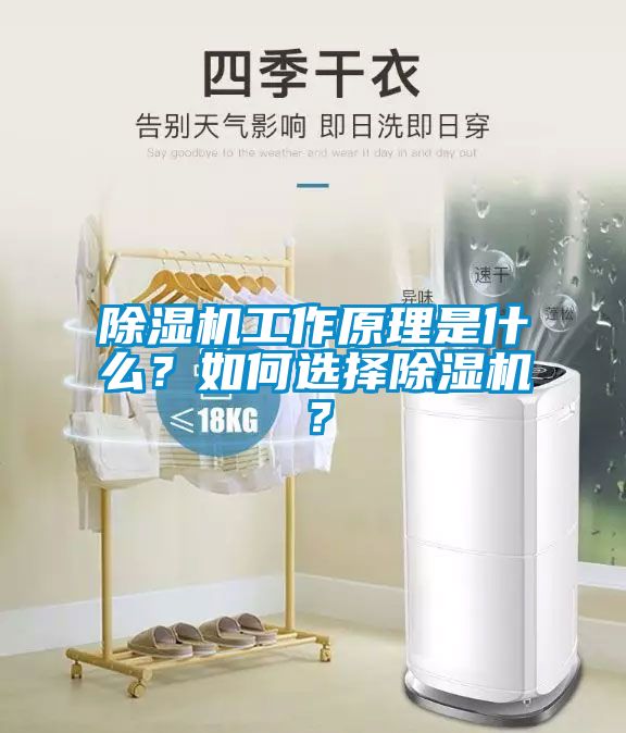 除濕機工作原理是什么？如何選擇除濕機？