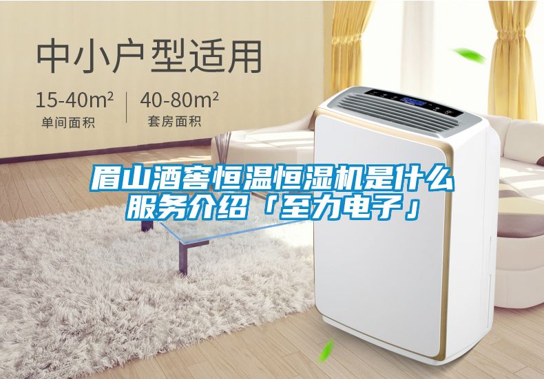 眉山酒窖恒溫恒濕機是什么服務(wù)介紹「至力電子」