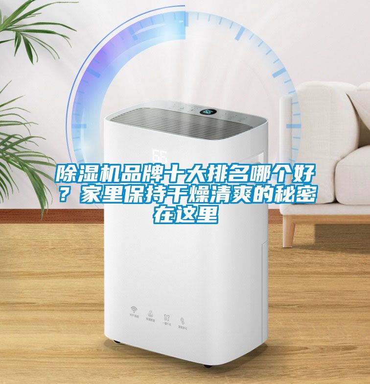 除濕機品牌十大排名哪個好？家里保持干燥清爽的秘密在這里