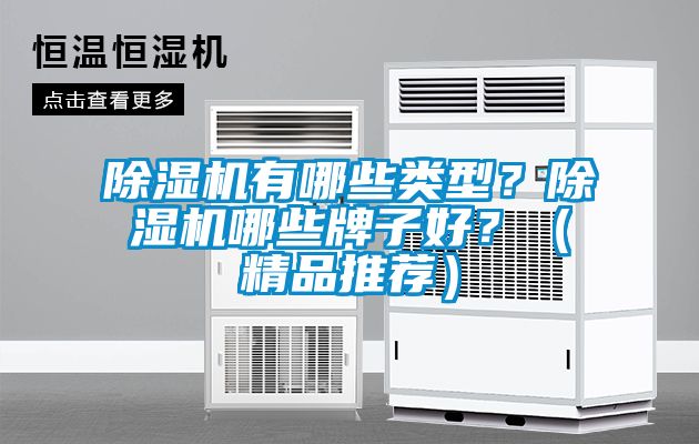 除濕機有哪些類型？除濕機哪些牌子好？（精品推薦）