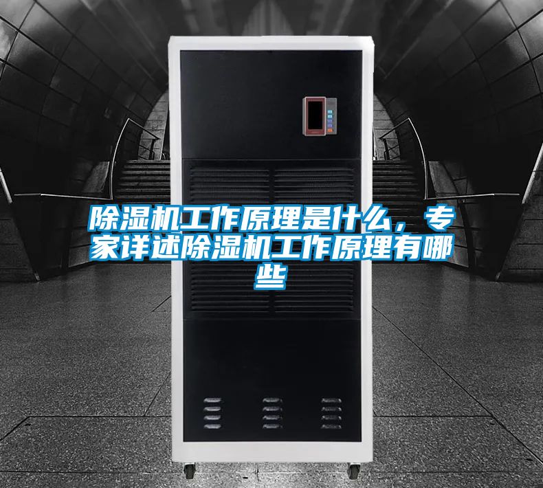 除濕機工作原理是什么，專家詳述除濕機工作原理有哪些