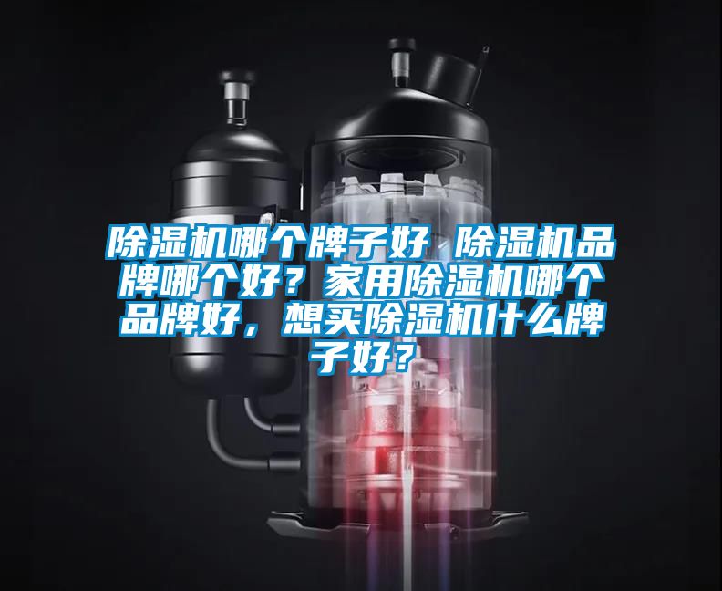 除濕機哪個牌子好 除濕機品牌哪個好？家用除濕機哪個品牌好，想買除濕機什么牌子好？