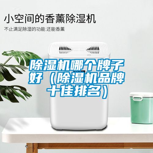 除濕機(jī)哪個(gè)牌子好（除濕機(jī)品牌十佳排名）