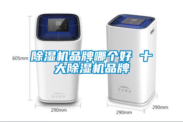 除濕機(jī)品牌哪個好 十大除濕機(jī)品牌