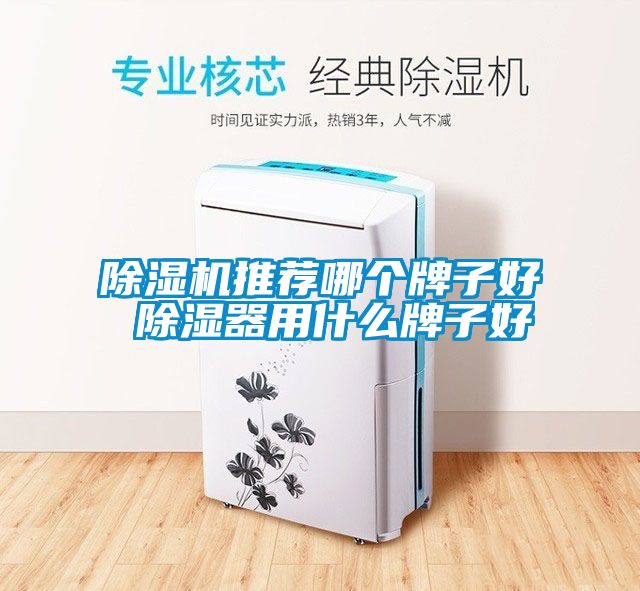 除濕機推薦哪個牌子好 除濕器用什么牌子好