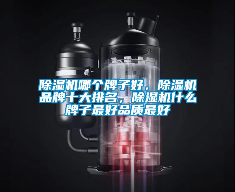 除濕機哪個牌子好，除濕機品牌十大排名，除濕機什么牌子最好品質(zhì)最好