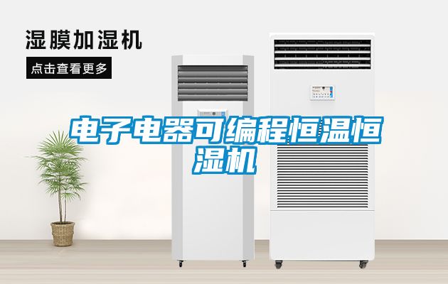 電子電器可編程恒溫恒濕機