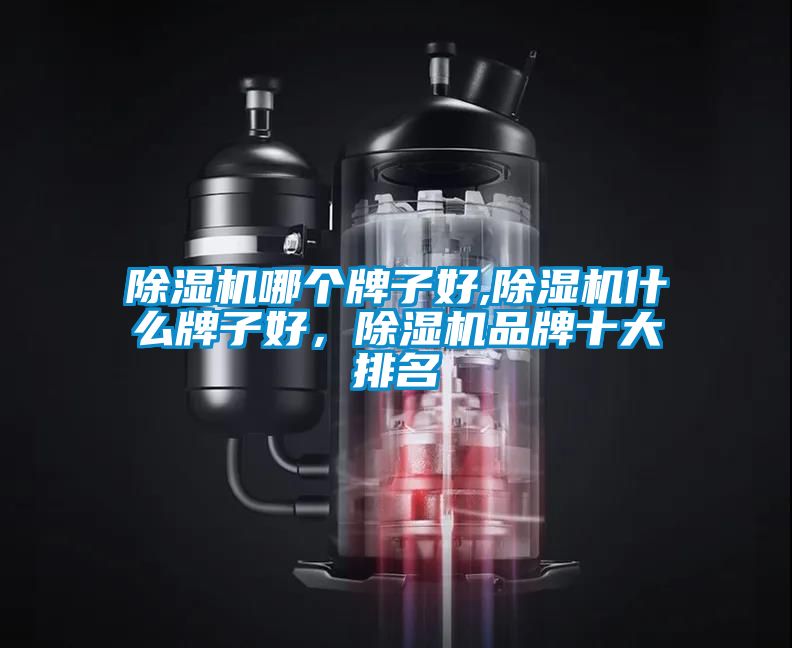 除濕機(jī)哪個(gè)牌子好,除濕機(jī)什么牌子好，除濕機(jī)品牌十大排名