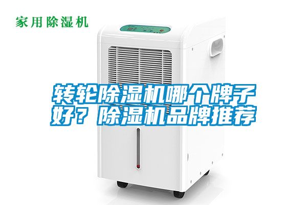 轉輪除濕機哪個牌子好？除濕機品牌推薦