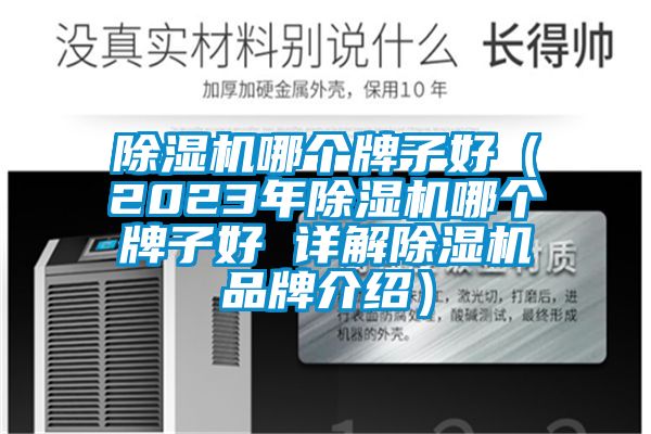 除濕機哪個牌子好（2023年除濕機哪個牌子好 詳解除濕機品牌介紹）