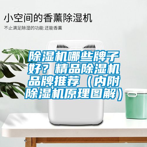 除濕機(jī)哪些牌子好？精品除濕機(jī)品牌推薦（內(nèi)附除濕機(jī)原理圖解）