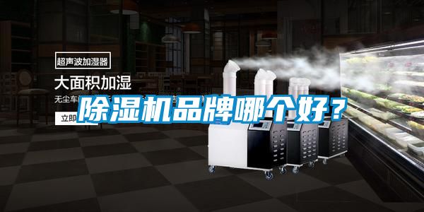 除濕機品牌哪個好？