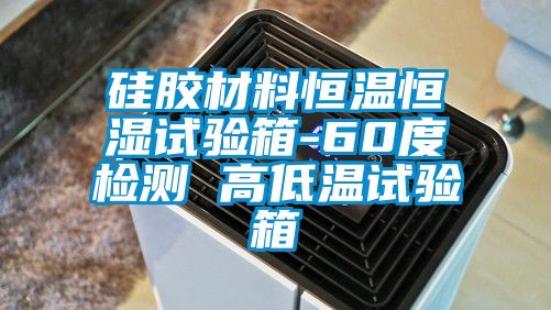 硅膠材料恒溫恒濕試驗(yàn)箱-60度檢測 高低溫試驗(yàn)箱