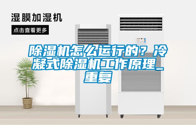 除濕機怎么運行的？冷凝式除濕機工作原理_重復