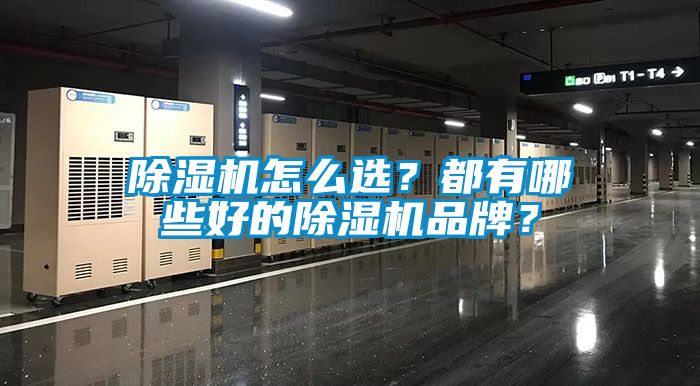 除濕機怎么選？都有哪些好的除濕機品牌？