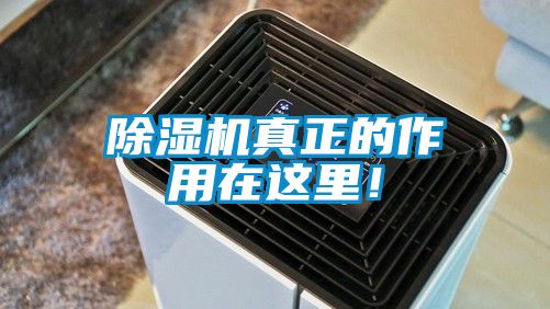 除濕機真正的作用在這里！