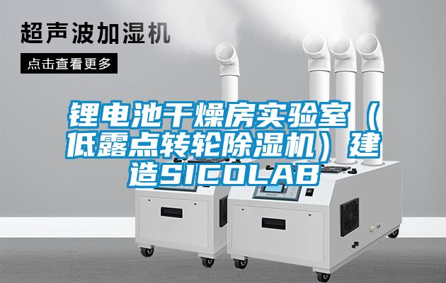 鋰電池干燥房實驗室（低露點轉(zhuǎn)輪除濕機）建造SICOLAB