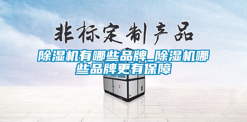 除濕機(jī)有哪些品牌_除濕機(jī)哪些品牌更有保障