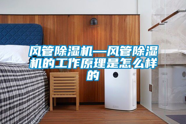 風管除濕機—風管除濕機的工作原理是怎么樣的