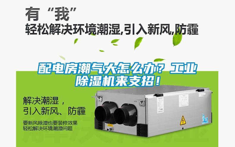 配電房潮氣大怎么辦？工業(yè)除濕機來支招！