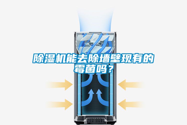 除濕機能去除墻壁現(xiàn)有的霉菌嗎？