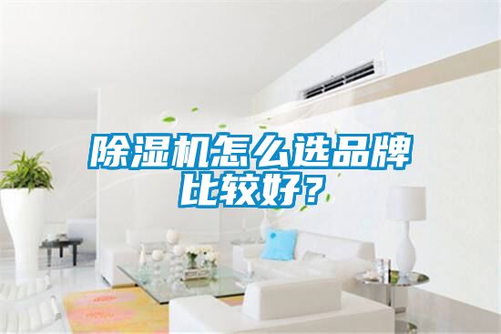 除濕機(jī)怎么選品牌比較好？