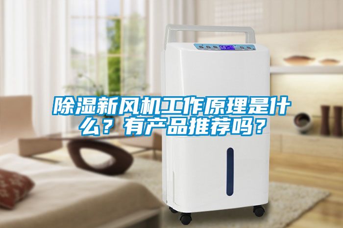 除濕新風機工作原理是什么？有產品推薦嗎？