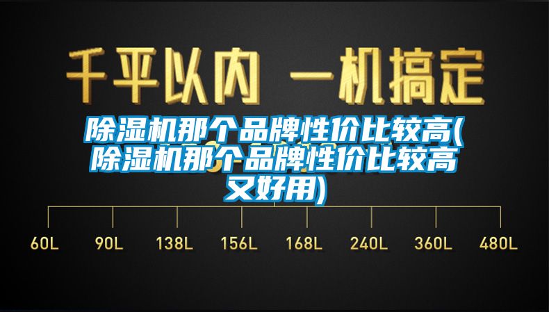 除濕機(jī)那個品牌性價比較高(除濕機(jī)那個品牌性價比較高又好用)