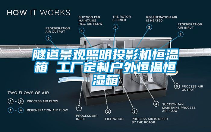 隧道景觀照明投影機(jī)恒溫箱 工廠定制戶外恒溫恒濕箱