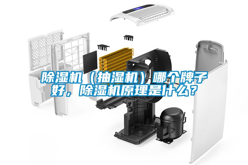 除濕機（抽濕機）哪個牌子好，除濕機原理是什么？