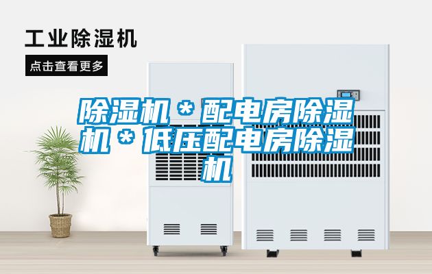 除濕機＊配電房除濕機＊低壓配電房除濕機